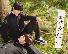 歌曲齐天海报剧照