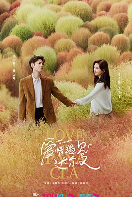 我要看南征北战海报剧照