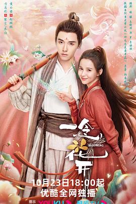 翟凌小视频海报剧照